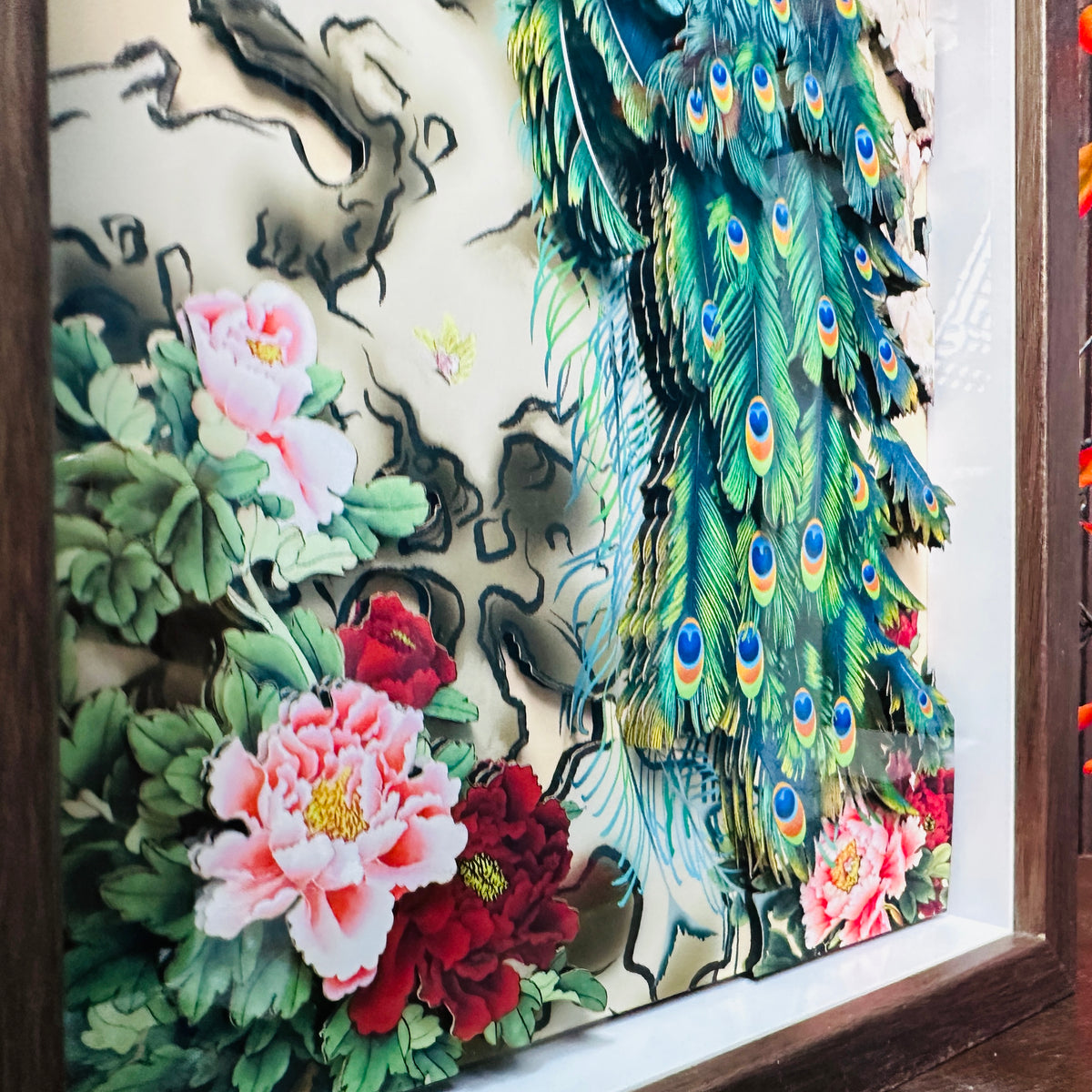 Lucky Peacock